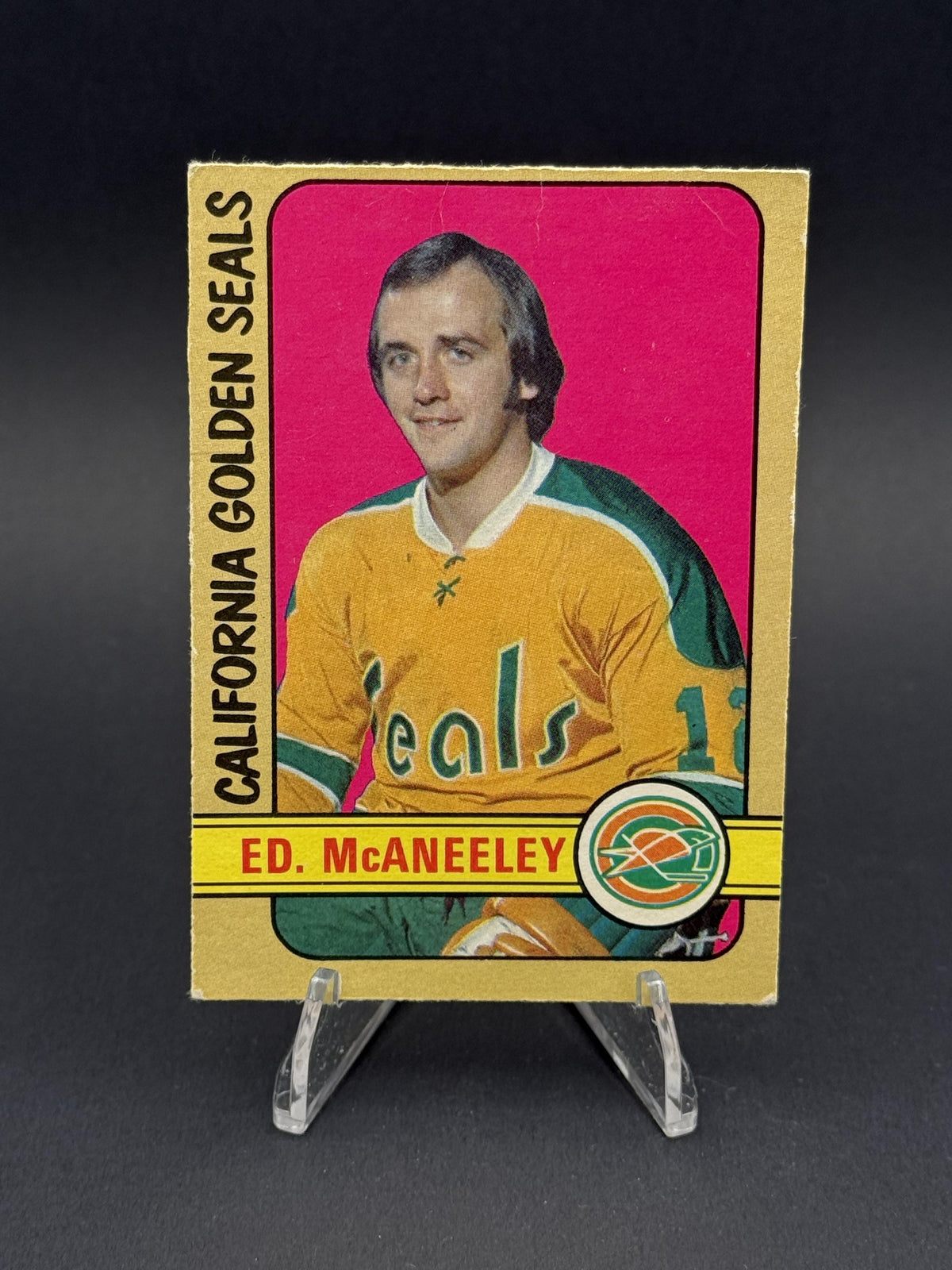 1972-73 O-Pee-Chee #242 Ted McAneeley (RC)