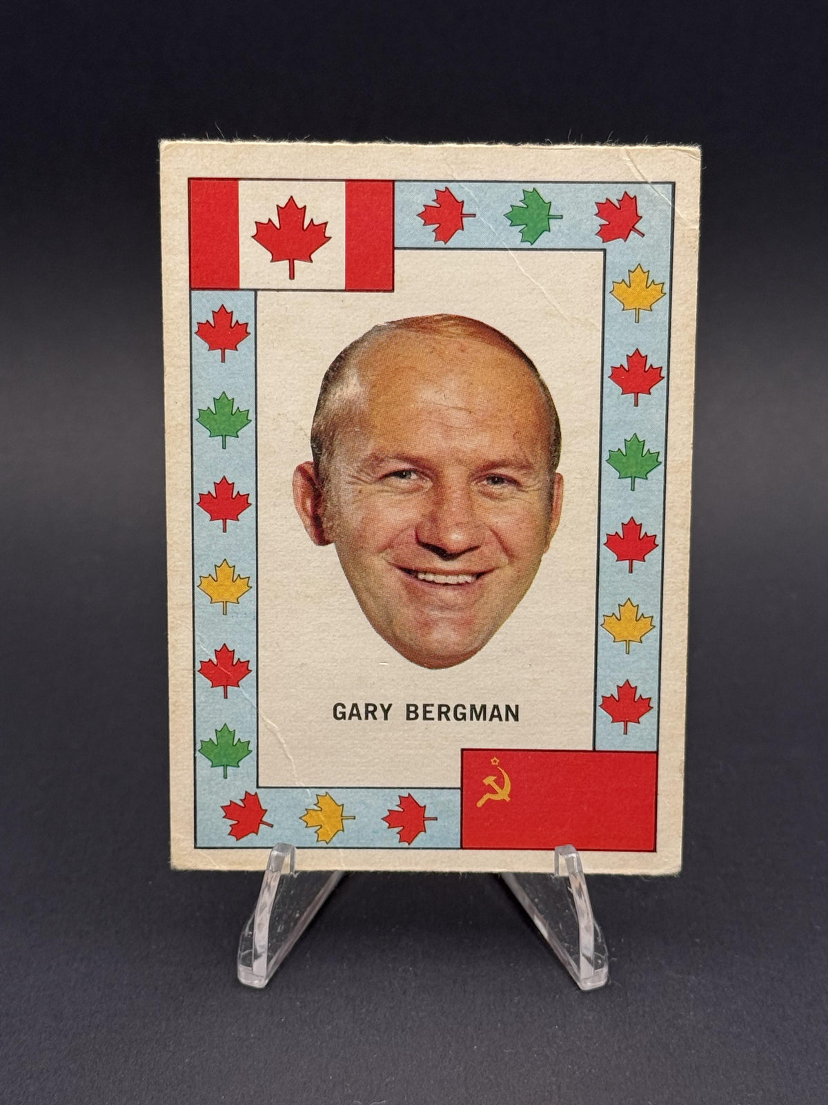 1972-73 O-Pee-Chee #NNO Pat Stapleton Team-Canada