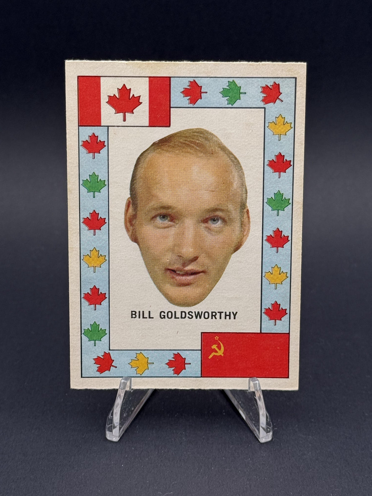 1972-73 O-Pee-Chee #NNO Bill Goldsworthy Team-Canada