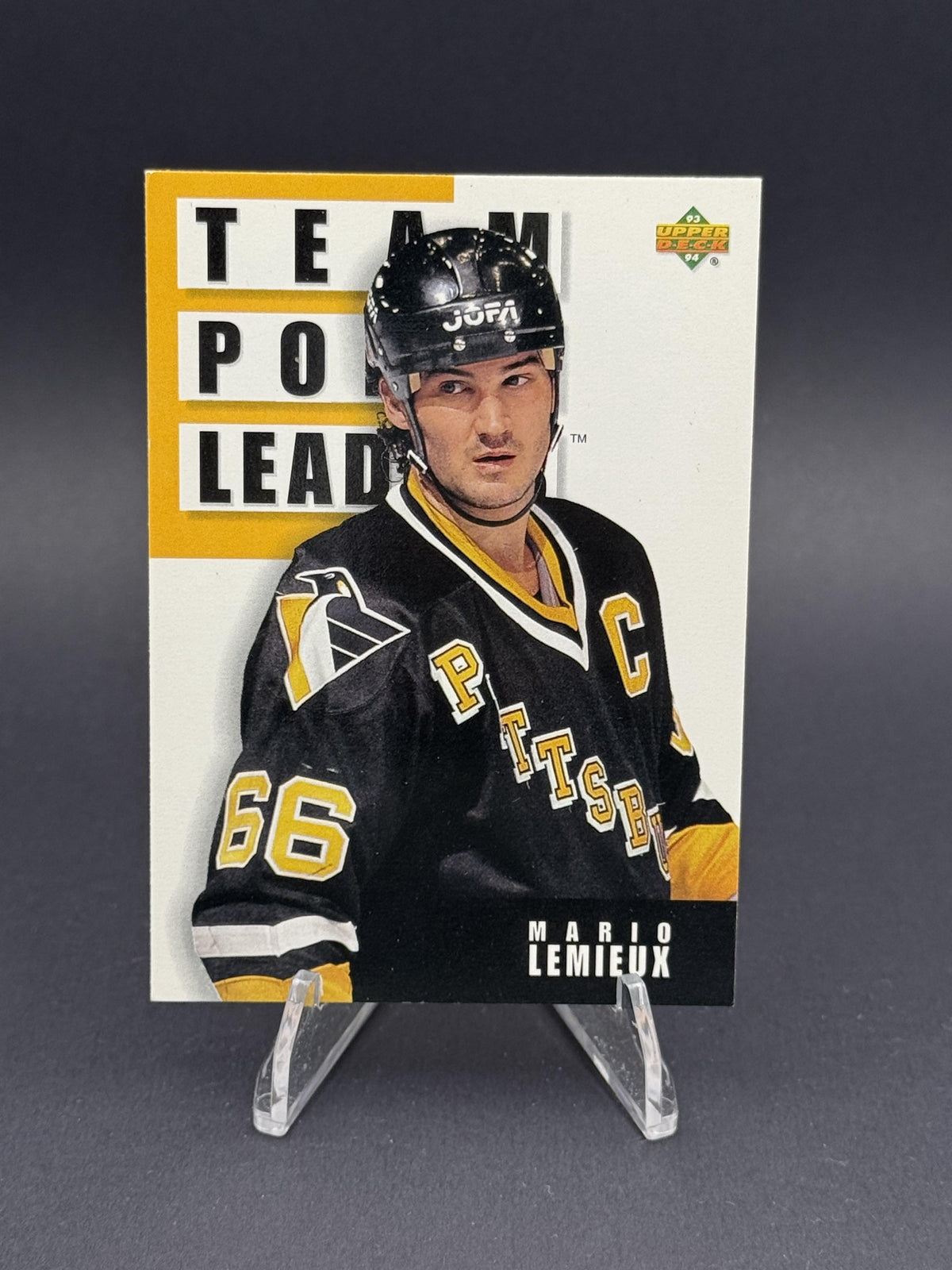1993-94 Upper Deck #301 Mario Lemieux